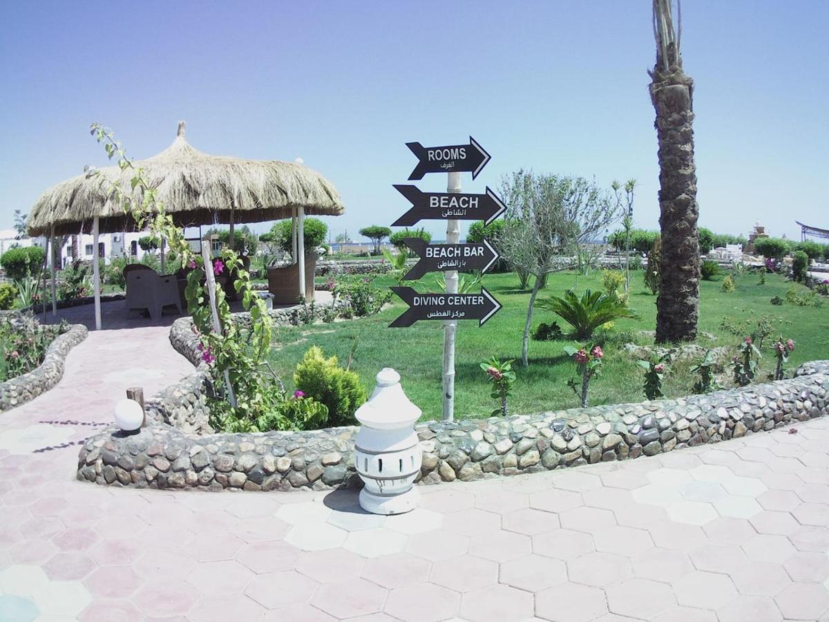 Dolphin Continental Hotel El Qoseir المظهر الخارجي الصورة