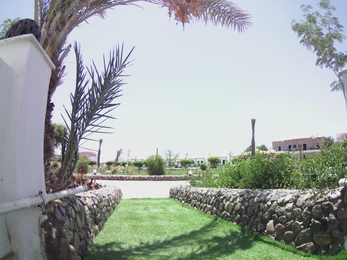 Dolphin Continental Hotel El Qoseir المظهر الخارجي الصورة