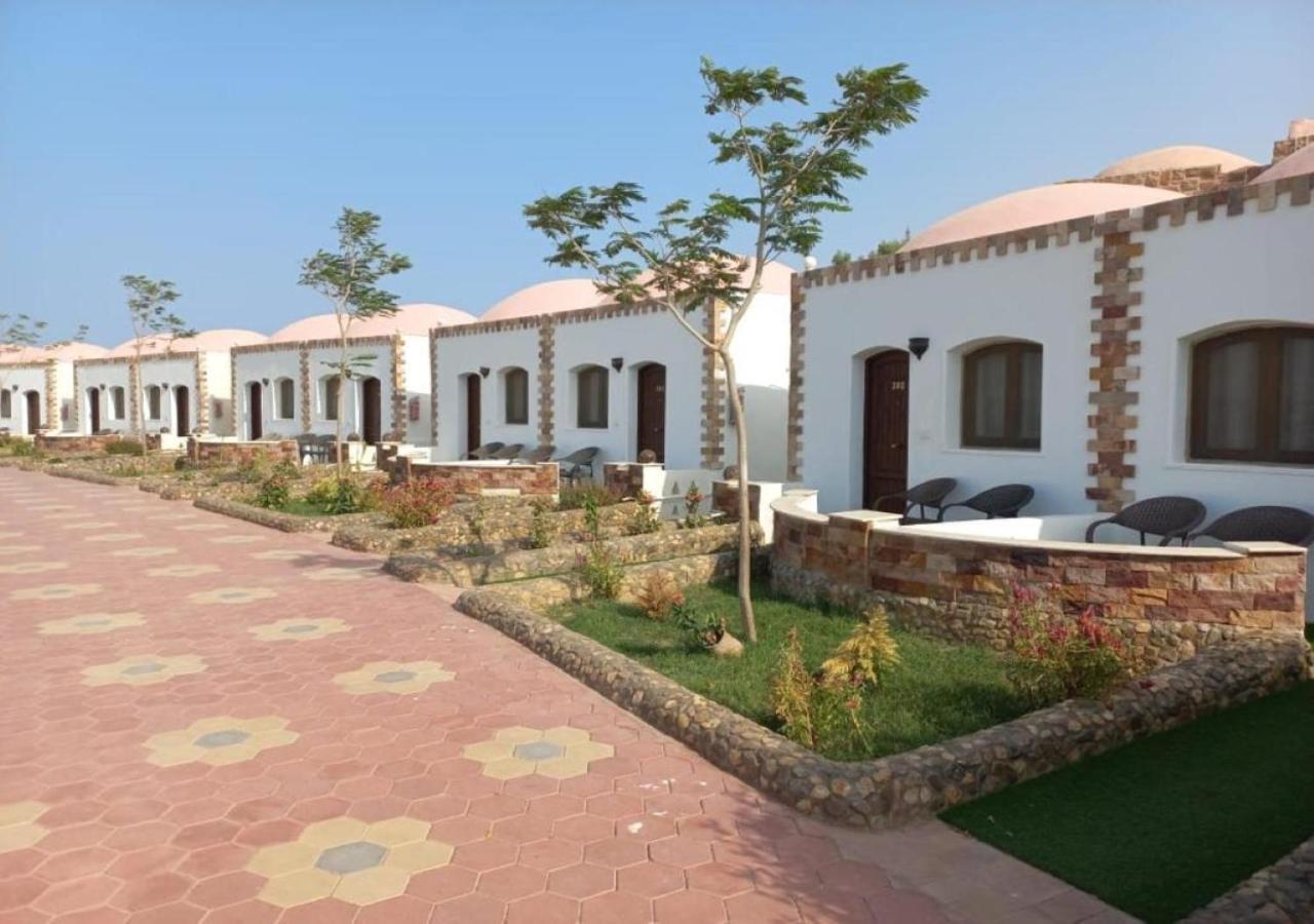 Dolphin Continental Hotel El Qoseir المظهر الخارجي الصورة