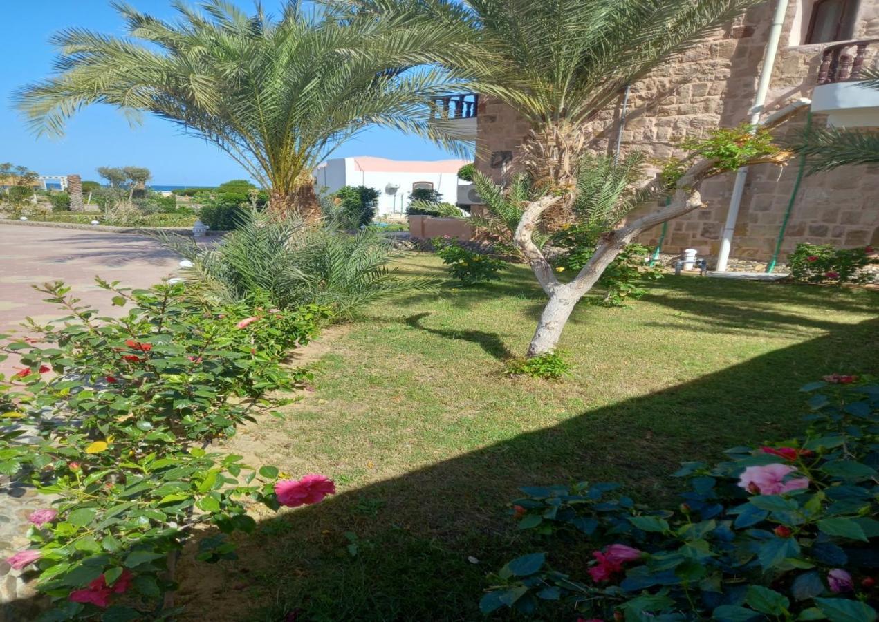 Dolphin Continental Hotel El Qoseir المظهر الخارجي الصورة