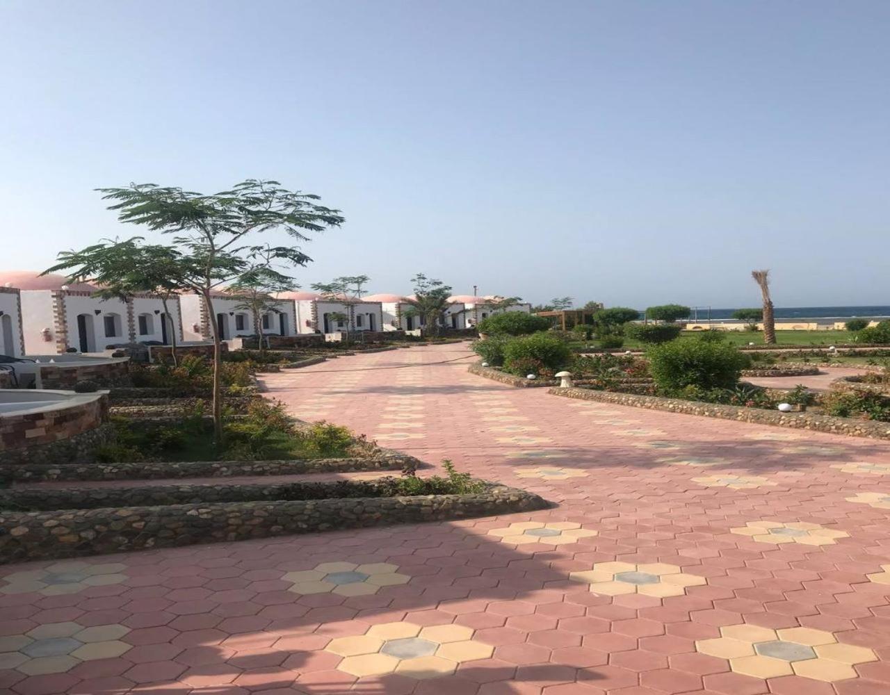 Dolphin Continental Hotel El Qoseir الغرفة الصورة