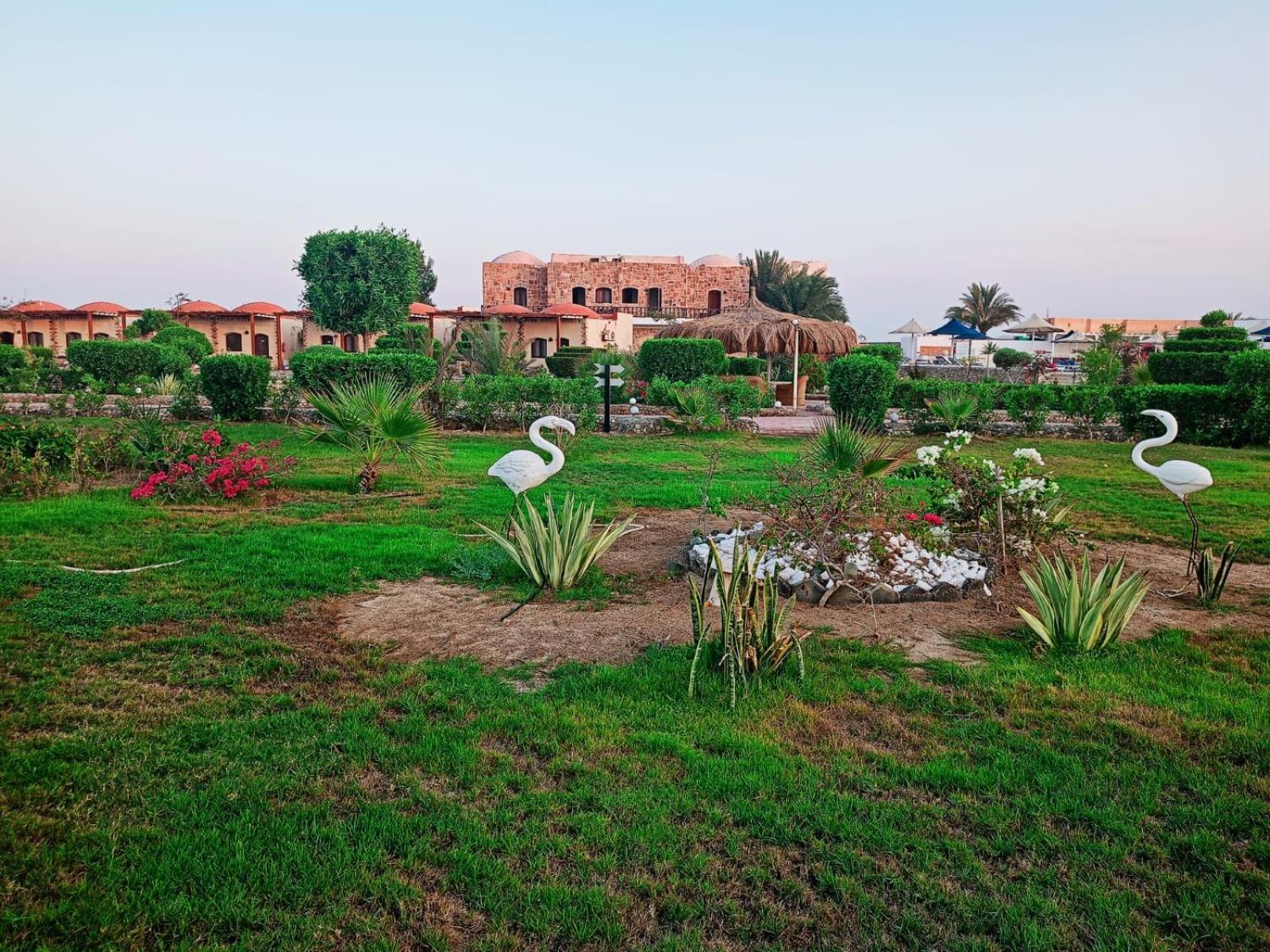 Dolphin Continental Hotel El Qoseir المظهر الخارجي الصورة