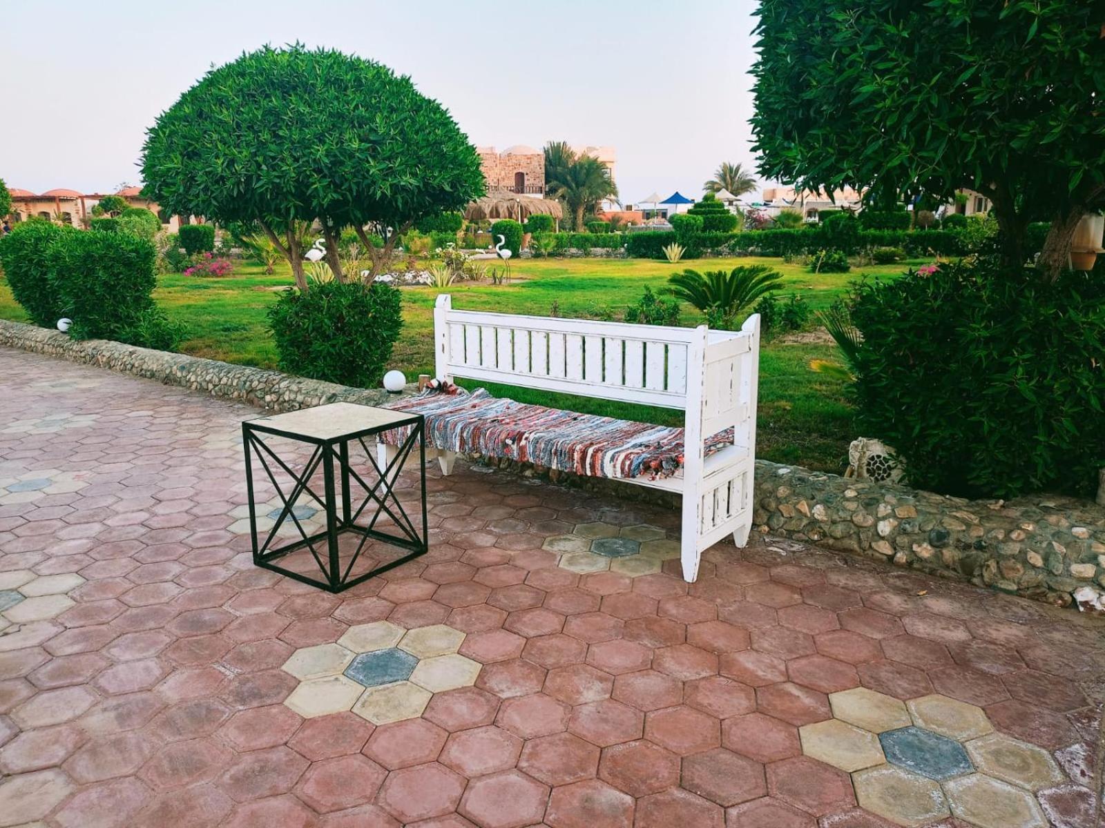 Dolphin Continental Hotel El Qoseir المظهر الخارجي الصورة