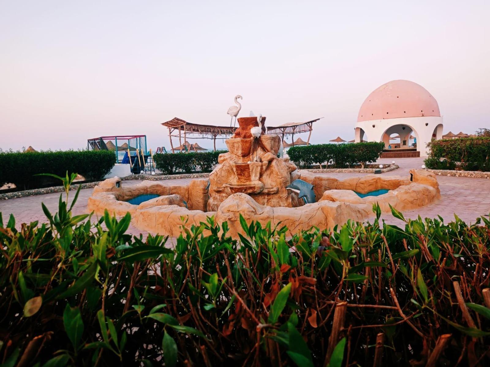 Dolphin Continental Hotel El Qoseir المظهر الخارجي الصورة