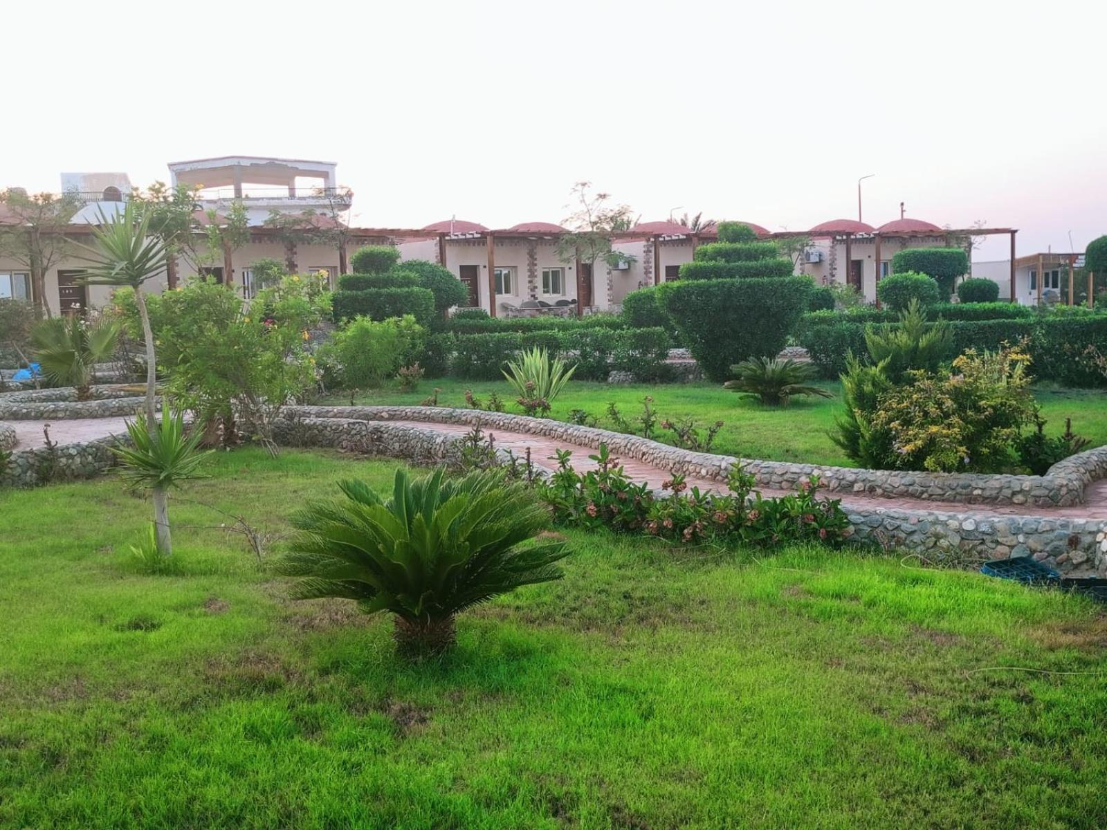 Dolphin Continental Hotel El Qoseir المظهر الخارجي الصورة
