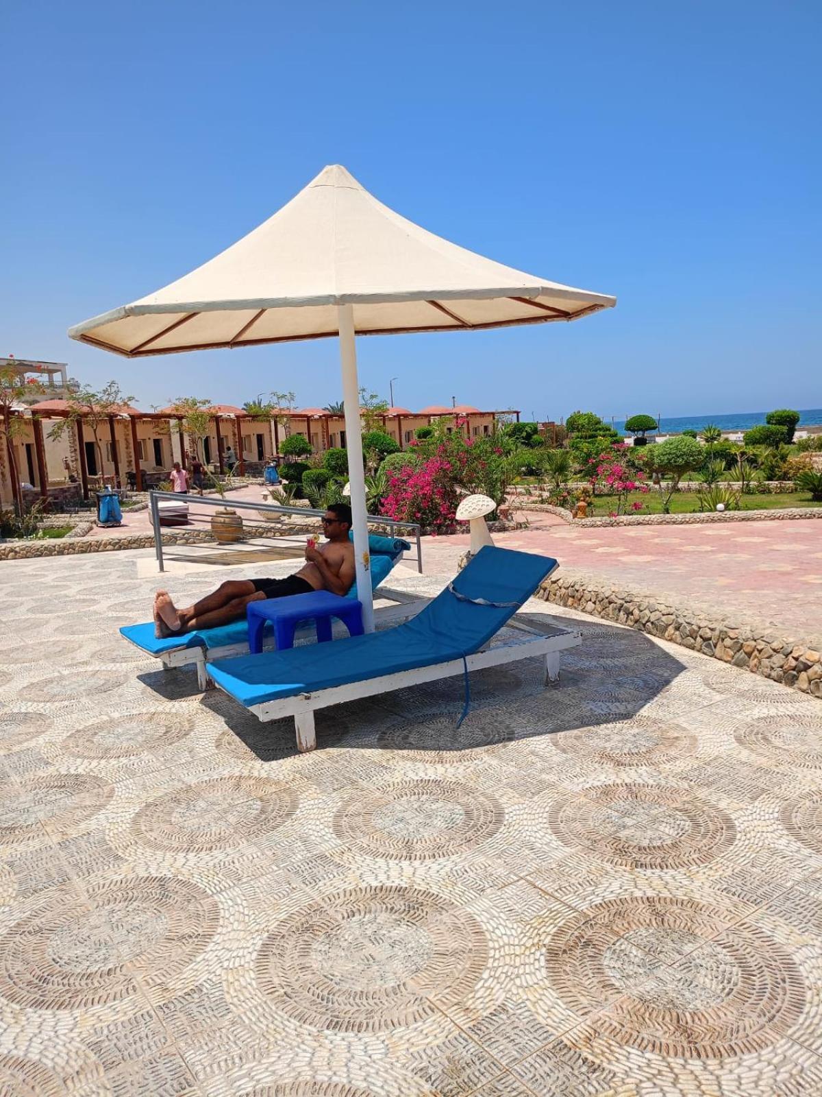 Dolphin Continental Hotel El Qoseir المظهر الخارجي الصورة