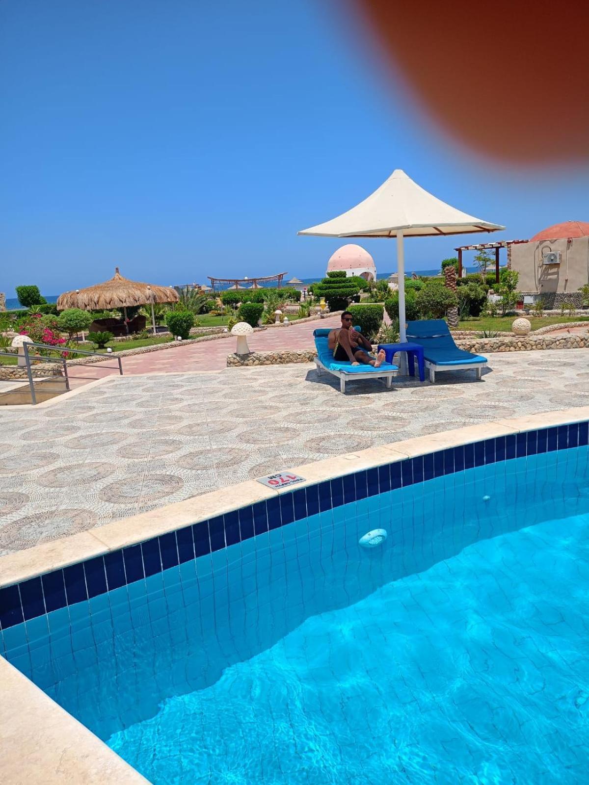 Dolphin Continental Hotel El Qoseir المظهر الخارجي الصورة