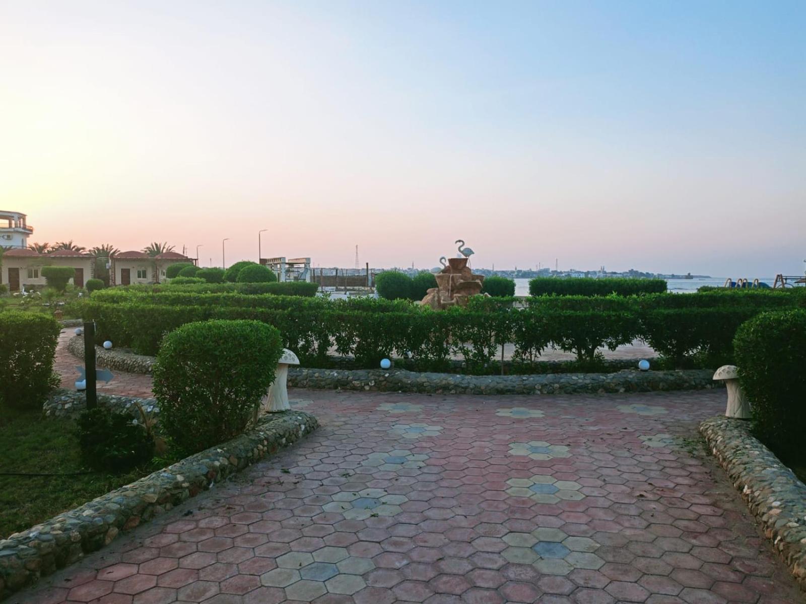 Dolphin Continental Hotel El Qoseir المظهر الخارجي الصورة