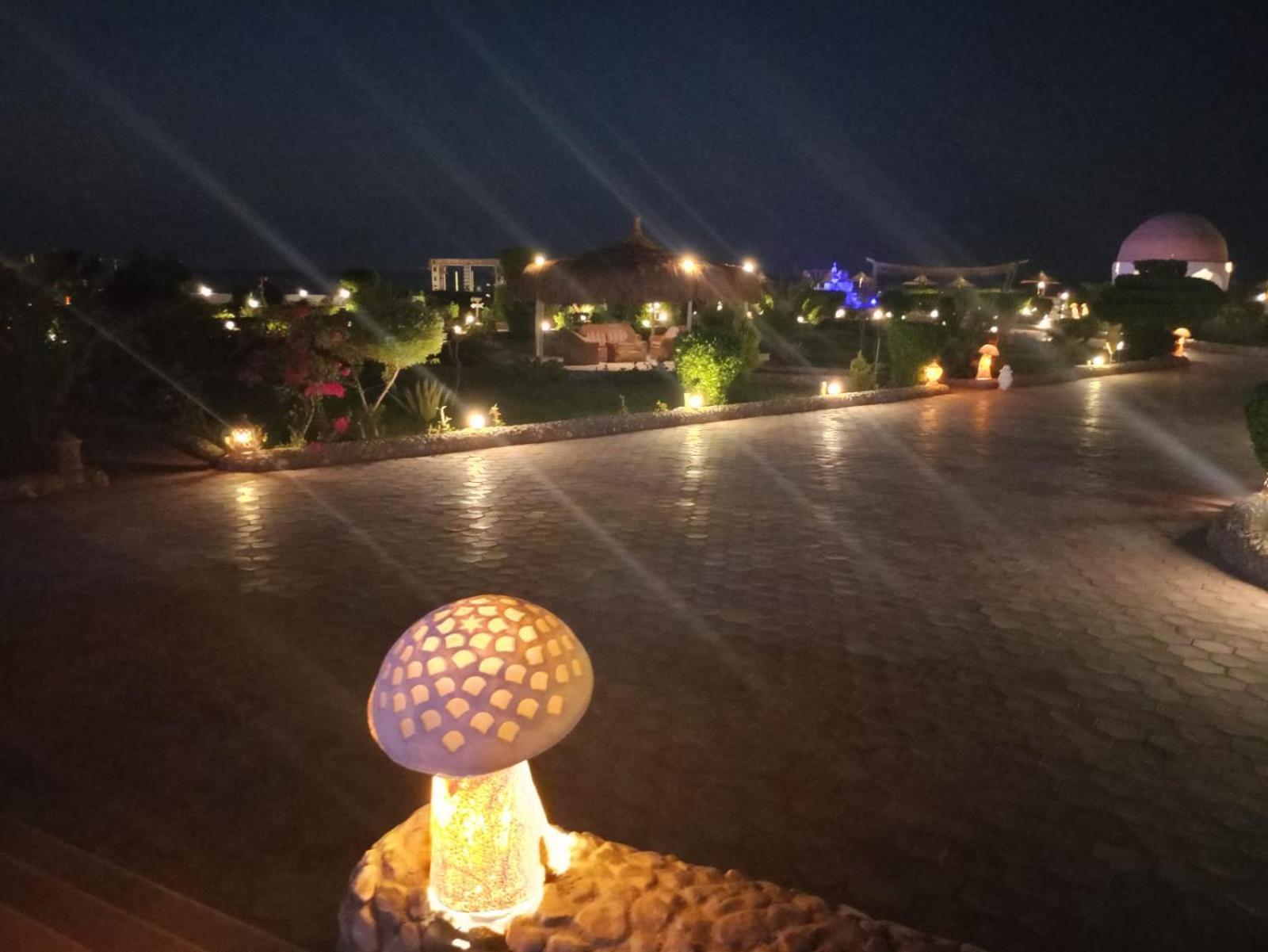 Dolphin Continental Hotel El Qoseir المظهر الخارجي الصورة