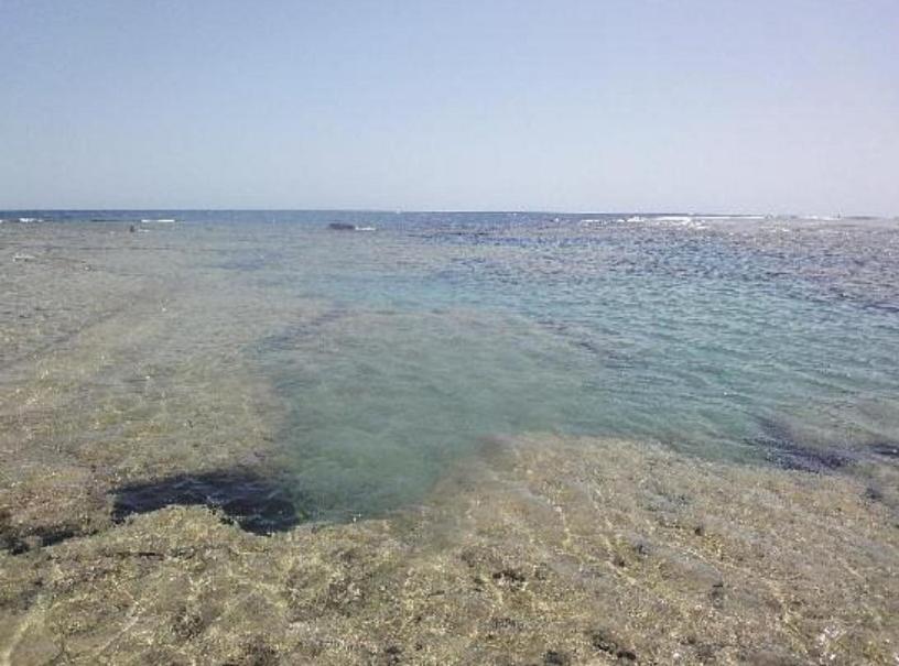 Dolphin Continental Hotel El Qoseir المظهر الخارجي الصورة
